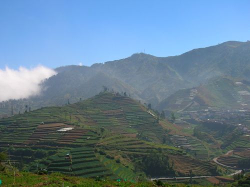 Dieng Plateau, Java (1)